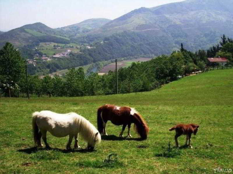 Hotel Elizalde Оярсун Екстер'єр фото